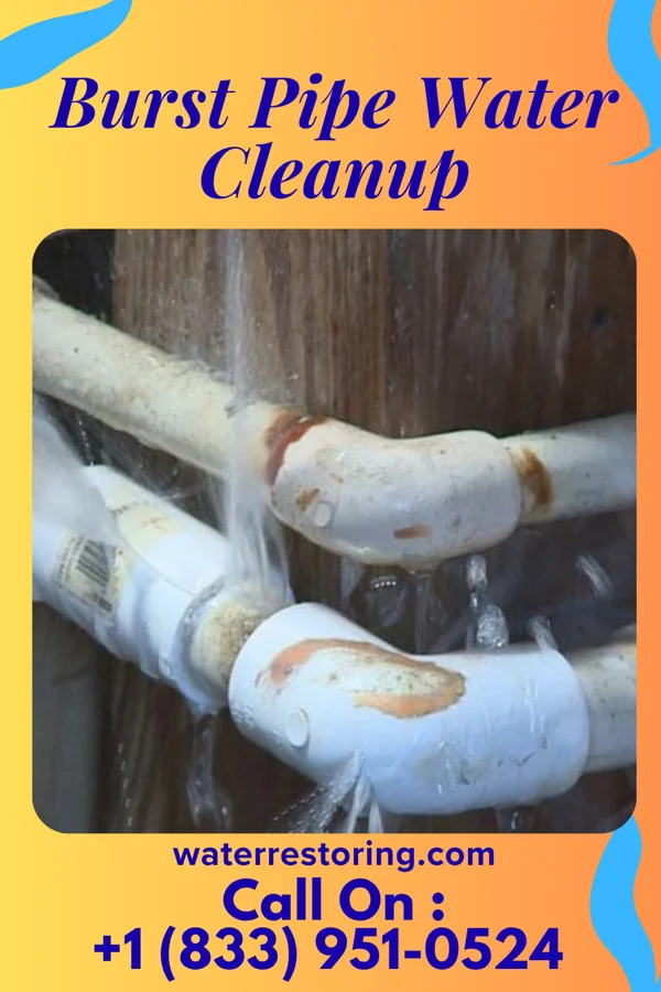 Burst Pipe Water Cleanup in Willard, KS