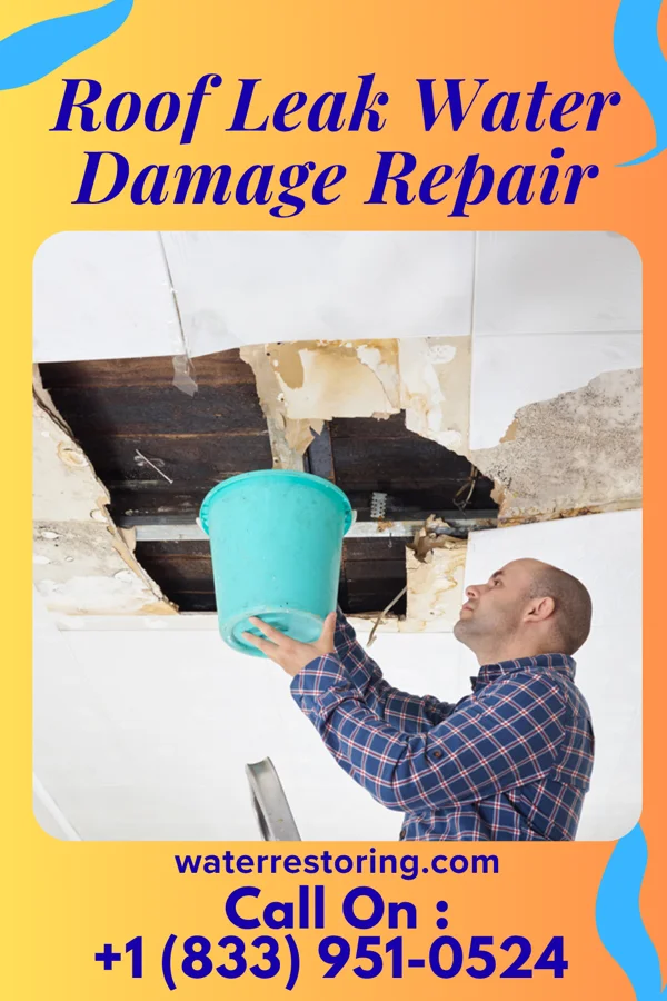 Roof Leak Water Damage Repair in Willard, KS