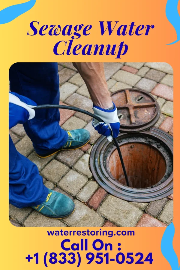 Sewage Water Cleanup in Willard, KS
