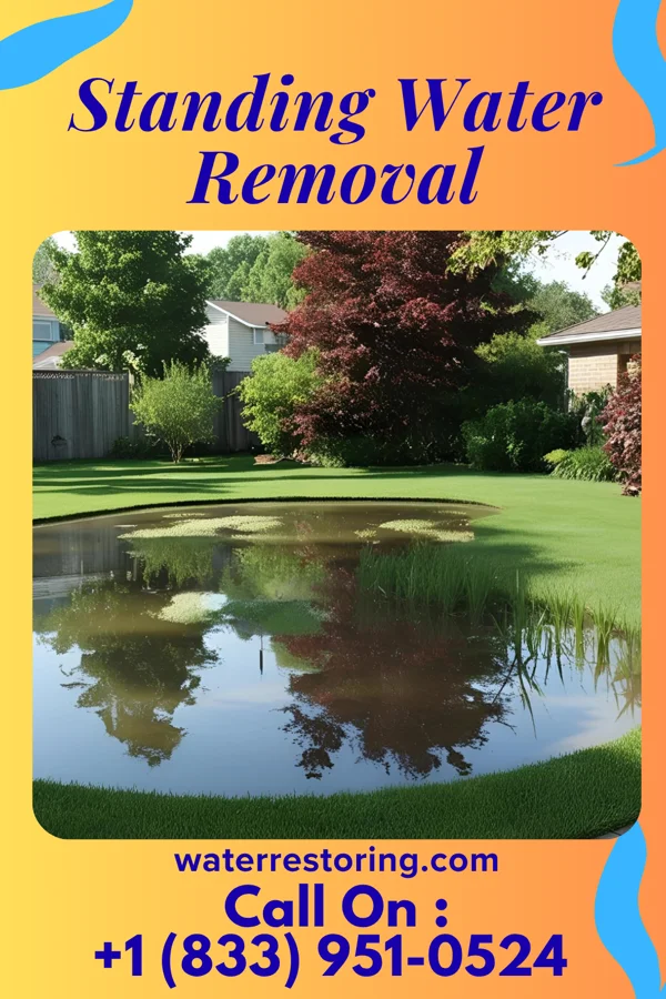 Standing Water Removal in Willard, KS